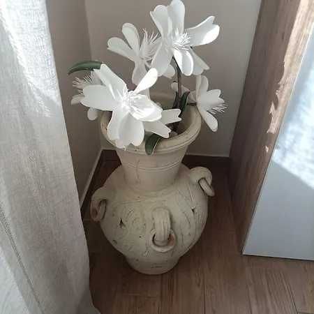 Casa Darla *